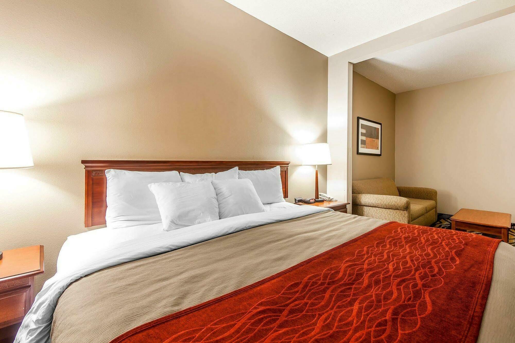 Comfort Inn Downtown Чаттануга Экстерьер фото